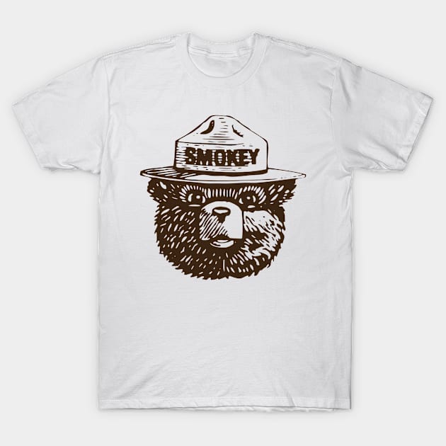 Smokey the Bear kayak science T-Shirt by colum